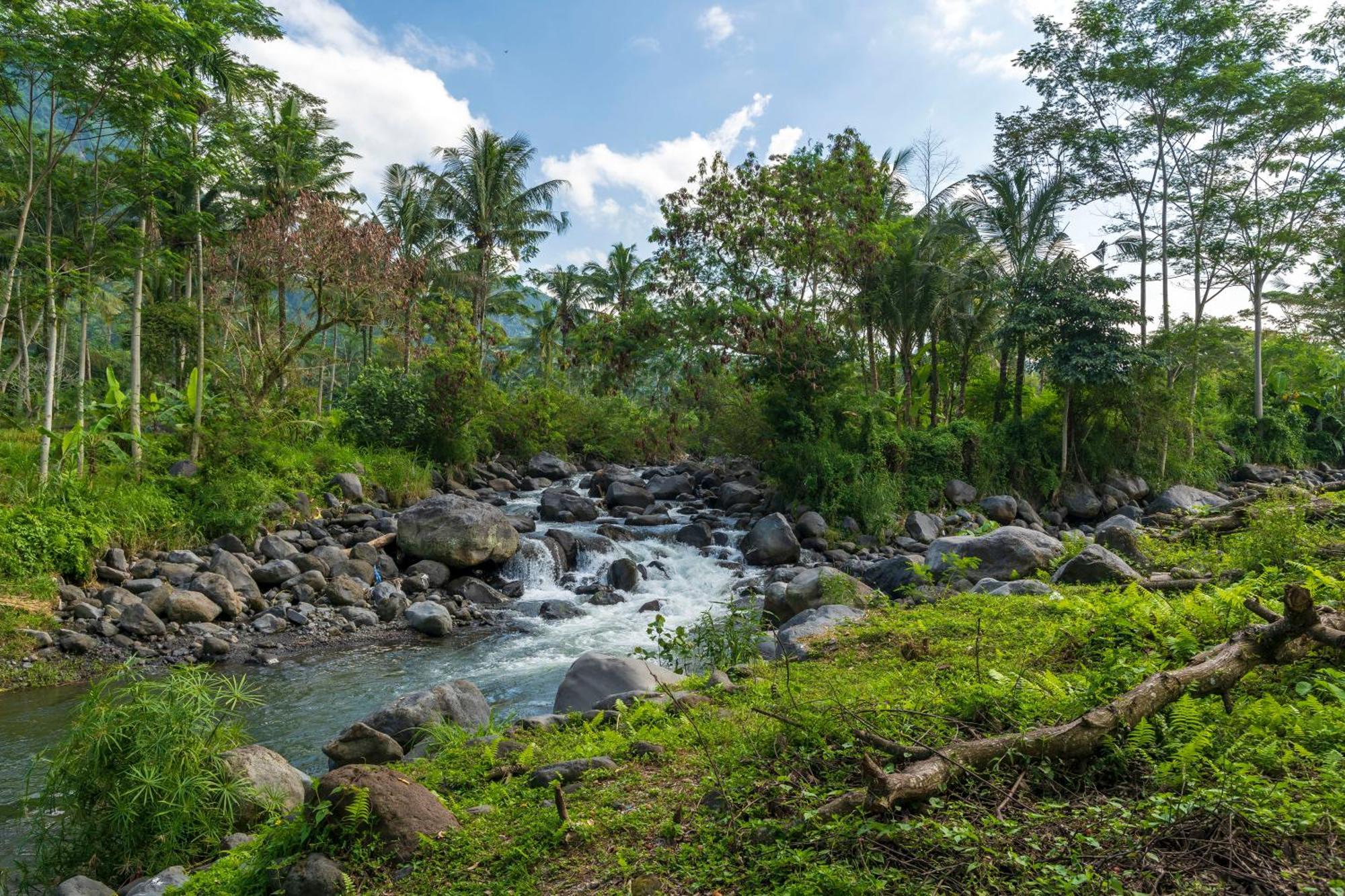 Wapa Di Ume Sidemen Hotel Sidemen  Exterior photo The river in the village of Kupapah